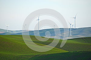 wheat farm hill with wind mill