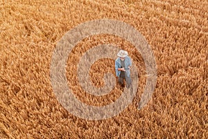 Wheat farmer with drone remote controller in field