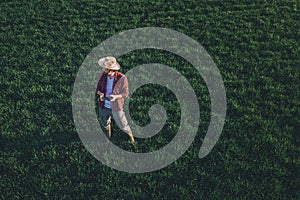 Wheat farmer using drone remote controller in wheatgrass field, aerial