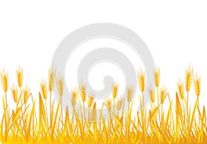 Wheat field