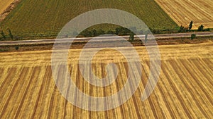 Wheat field. Aerial view on a field with beveled cereals and the village. Shooting from a drone. texture with lines