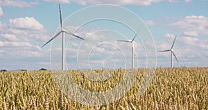 Wheat Field against Windmills