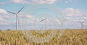 Wheat Field against Windmills