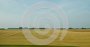 Wheat field agriculture France