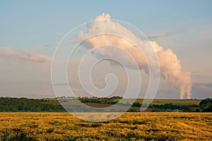 Wheat field. Beautiful countryside scenery under bright sunlight and blue sky and cloud of steam from nuclear power plant.