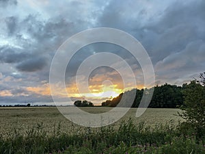 Wheat Field with a beautiful sky with dramatic clouds during Magic Hour in East Frisia, North Germany photo