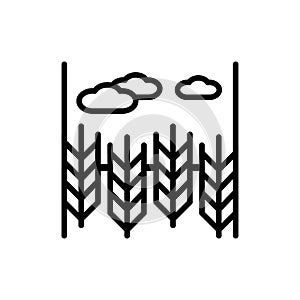 Wheat field and blue sky line color icon. Isolated vector element.