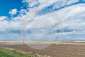 Wheat field of Canadian Prairies perspective view