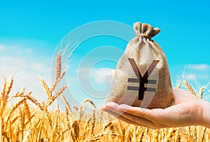 Wheat field and chinese yuan or japanese yen money bag. Grains and cereals deficits, livestock feed. Agroindustry and the