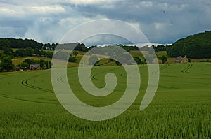 Wheat field and cloudy sky at peaceful rural Normandy