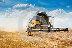 Wheat field and combine harvesting cereals, on wheat field with beautiful sky