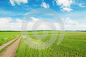 Wheat field and country road