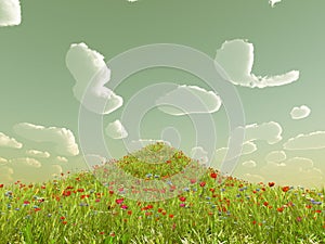 Wheat field with flowers