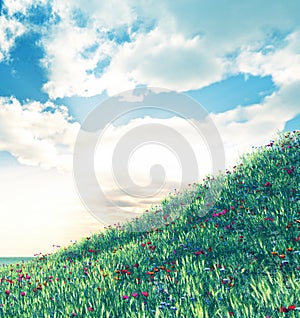 Wheat field with flowers