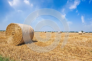 Wheat field after harvest with straw bales.