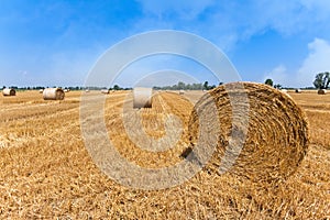Wheat field after harvest with straw bales with blue sky