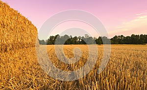 Wheat field harvested with hay bales at sunset - Sezzadio - Piemonte