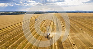 Wheat field, harvester removes wheat, view from the top of the quadcopter