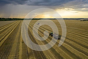 Wheat field, harvester removes wheat, view from the top of the quadcopter