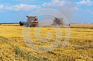 Wheat field harvesting