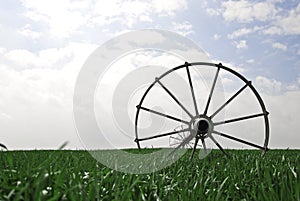 Wheat field with irrigation system