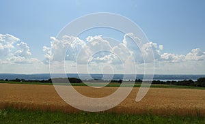 Wheat field overlooks Seneca Lake and storm clouds overhead