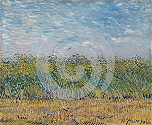 Wheat Field with Poppies and Lark, 1887 by Van Gogh