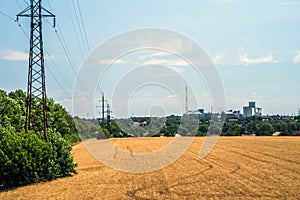 Wheat field and power line on the background of the village