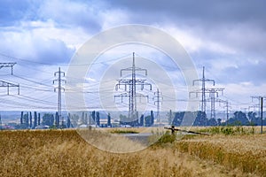 Wheat field with power lines.