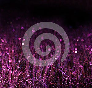 Wheat field and purple bokeh lights. filtered