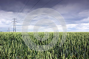 Wheat Field and Pylon