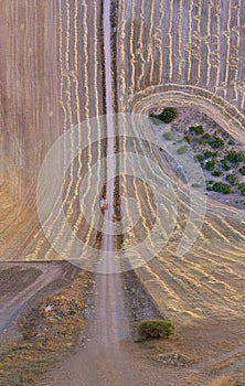 Wheat field recently harvested