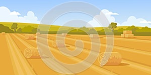 wheat field. rural landscape with rolled haystack. Vector cartoon pictures template