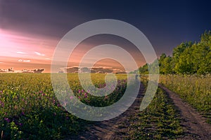 Wheat field, rural road, breathtaking sunset, landscape