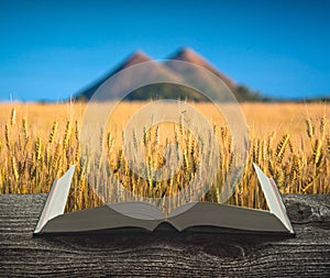 The wheat field with slagheap on the pages of book