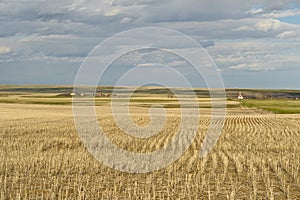 Wheat field and small village in Canadian Prairies