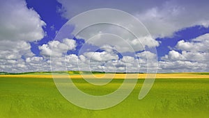 Wheat Field.Summer Green Landscape.Beautiful Nature Background.Artistic Wallpaper.Art Photography.Sky, clouds, sun.