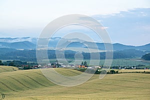 Wheat field during sunnrise or sunset with beautiful view to the mountains.