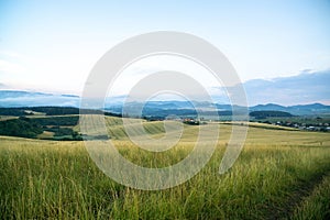 Wheat field during sunnrise or sunset with beautiful view to the mountains.