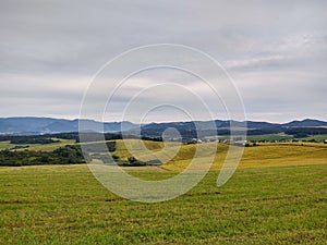 Wheat field during sunnrise or sunset with beautiful view to the mountains.