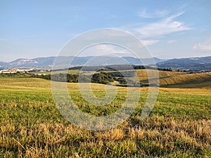 Wheat field during sunnrise or sunset with beautiful view to the mountains.