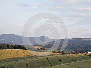 Wheat field during sunnrise or sunset with beautiful view to the mountains.