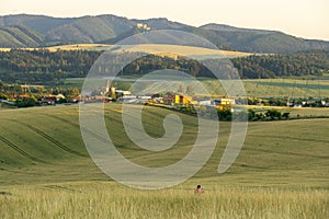 Wheat field during sunnrise or sunset with beautiful view to the mountains.