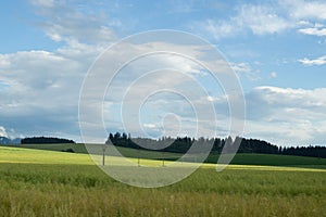 Pšeničné pole pri západe slnka. Slovensko