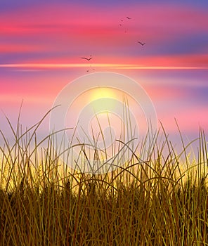 Wheat field sunset watercolor painting realistic illustration