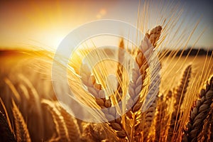 Wheat Field Texture, Golden Barley Ears Background, Ripening Cereals, Abstract Generative AI Illustration
