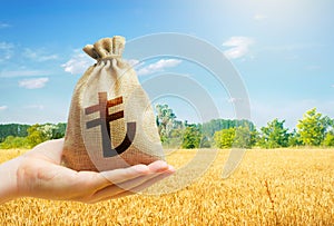 Wheat field and turkish lira money bag. Agroindustry business. Starvation and famine. Investments in agricultural complex. Profit