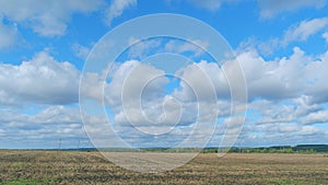 Wheat field on a warm summer day. Stubble or stalks left in a field after crops have been harvested. Timelapse.