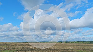 Wheat field on a warm summer day. Stubble or stalks left in a field after crops have been harvested. Timelapse.