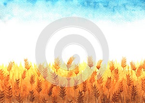 Wheat field watercolor with clear sky space hand painting background.